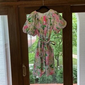Lilly Pulitzer Multi Via Amore Knoxlie dress